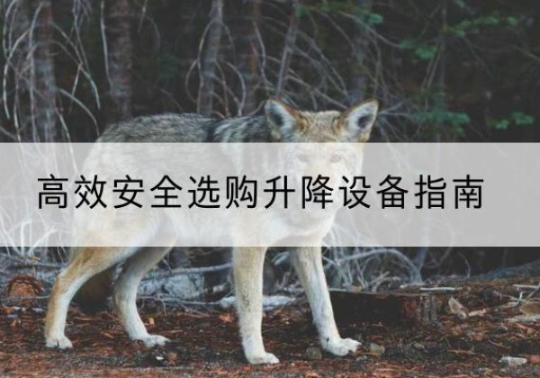 焦作升降货梯厂家推荐-*安全选购升降设备指南