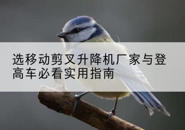 焦作电动升降机厂家-选移动剪叉升降机厂家与登高车必看实用指南